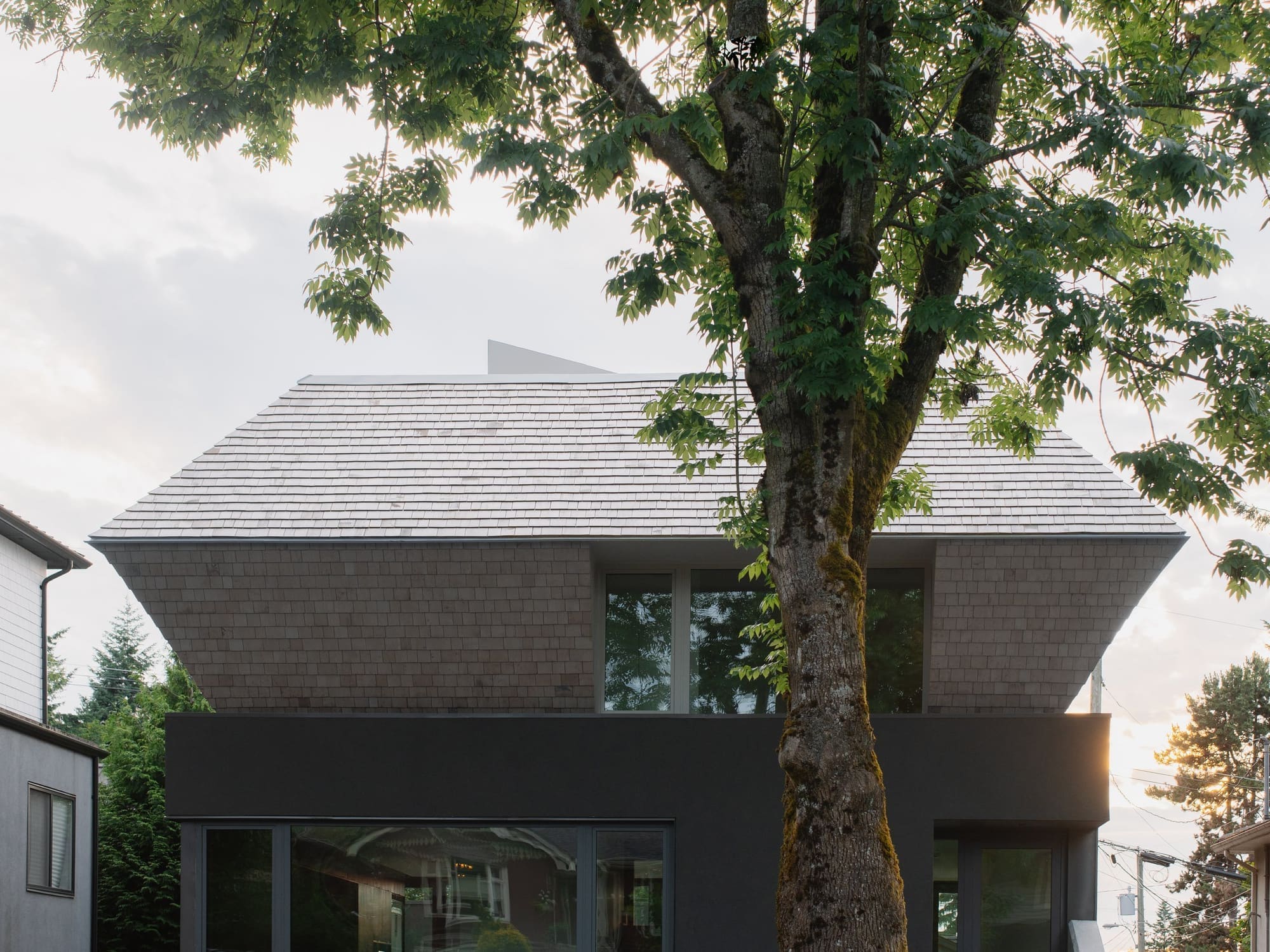 Gladstone — Angular shingled roof forms behind a mature street tree
