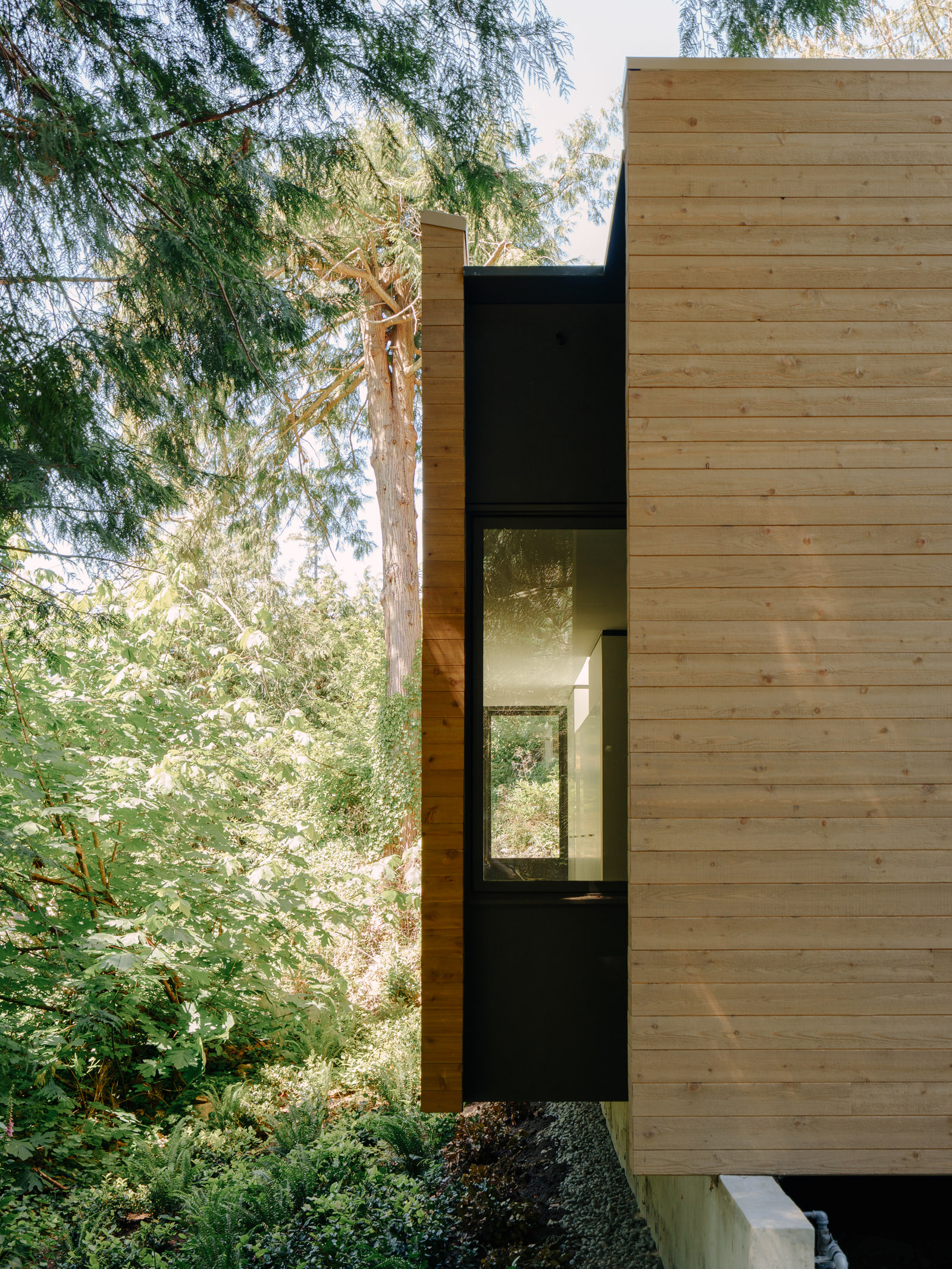 A narrow glazed opening between cedar volumes in the forest.