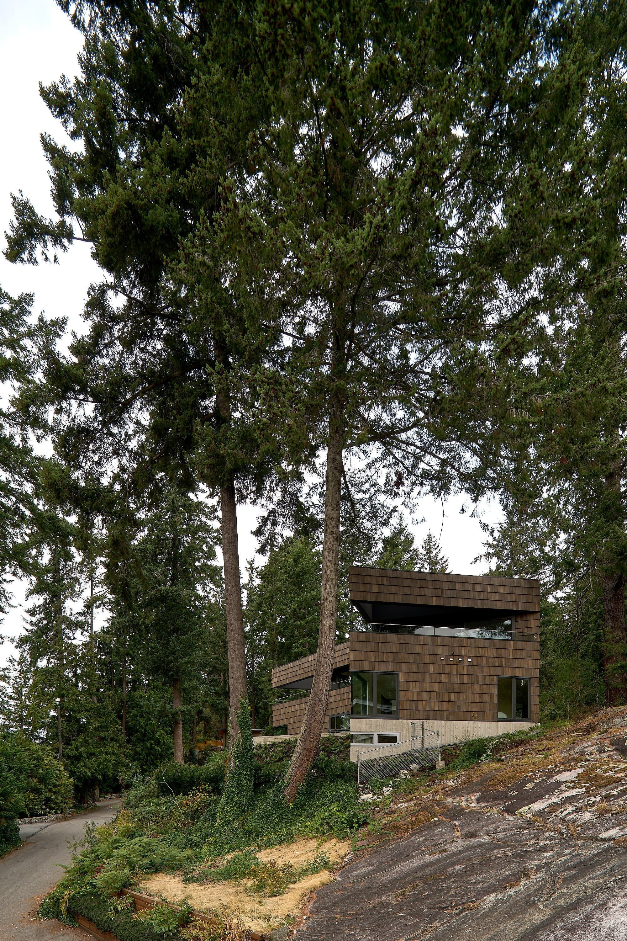 Photography: Sama Jim Canzian House With Big Shingles — Cedar-clad house set among tall coastal trees