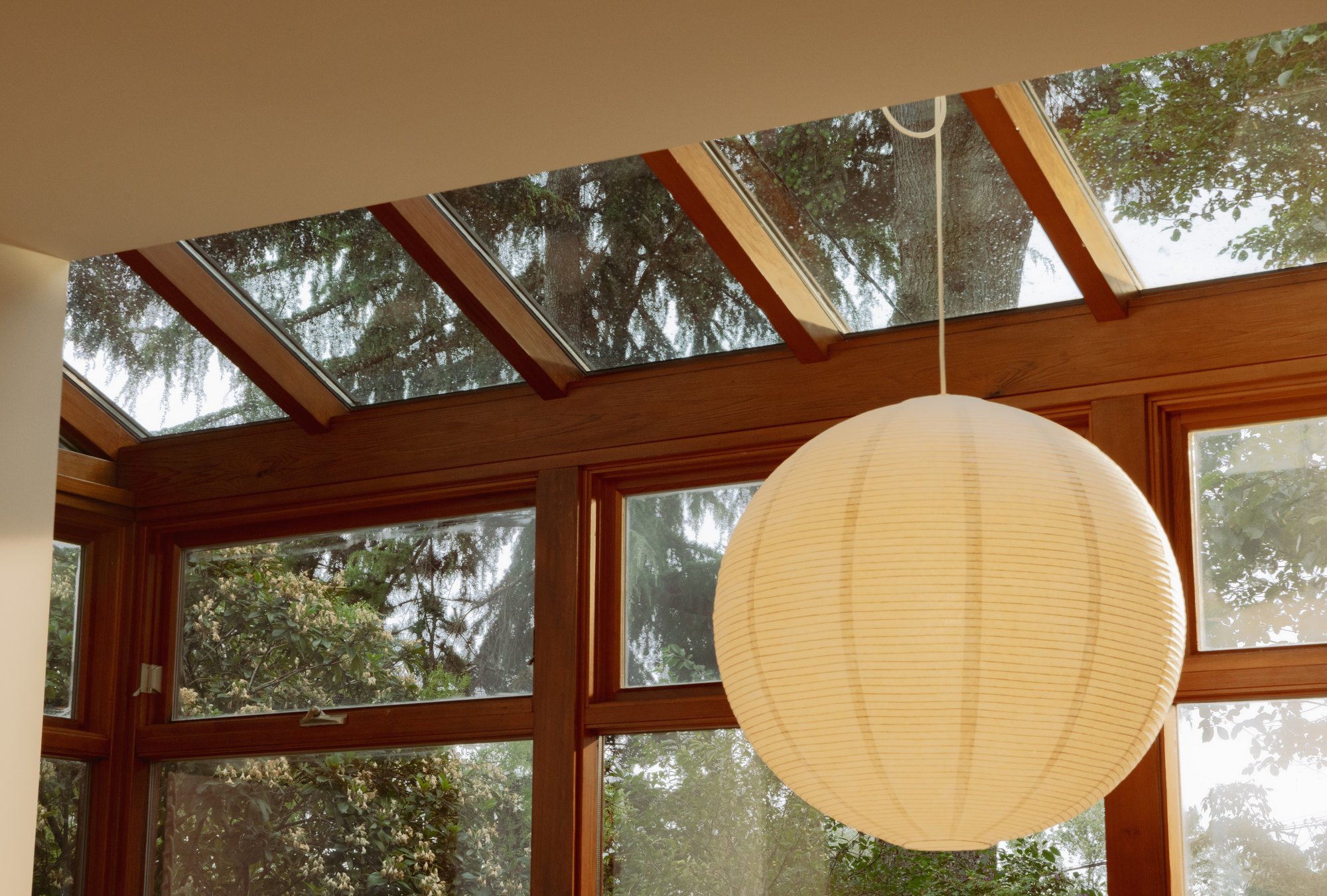 Skylight, timber roof framing and a pendant above the dining space.